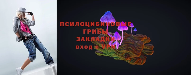 Псилоцибиновые грибы Magic Shrooms  Белинский 